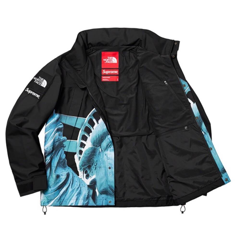 Supreme x The North Face Statue of Liberty Jacket